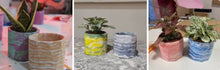 Marbled Plant Pot Workshop (with free plant)