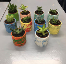 Marbled Plant Pot Workshop (with free plant)