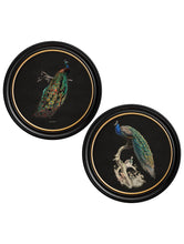 C.1847 Dark Peacock in Round Frame