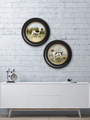 C.1881 Gun Dogs in Round Frame