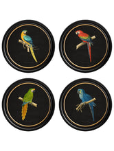 C.1884 Dark Collection of Macaws in Round Frames