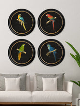 C.1884 Dark Collection of Macaws in Round Frames