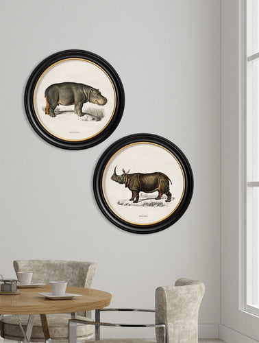 C.1846 Rhino & Hippo in Round Frame