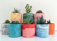 Marbled Plant Pot Workshop (with free plant)