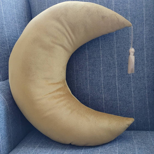 Velvet Moon Cushion