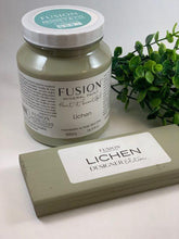 Lichen Fusion Paint