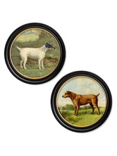 C.1881 Terriers in Round Frame