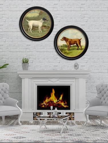 C.1881 Terriers in Round Frame