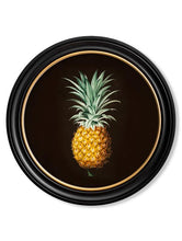 C.1812 Pineapple Study in Round Frame