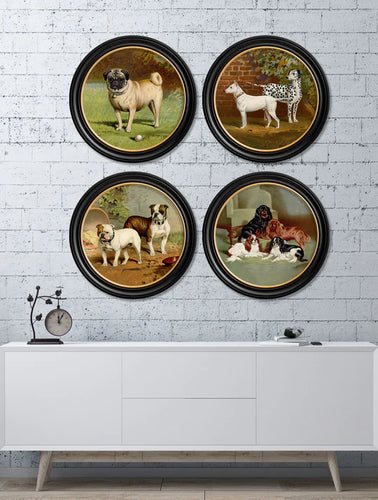 C.1881 Dogs in Round Frame